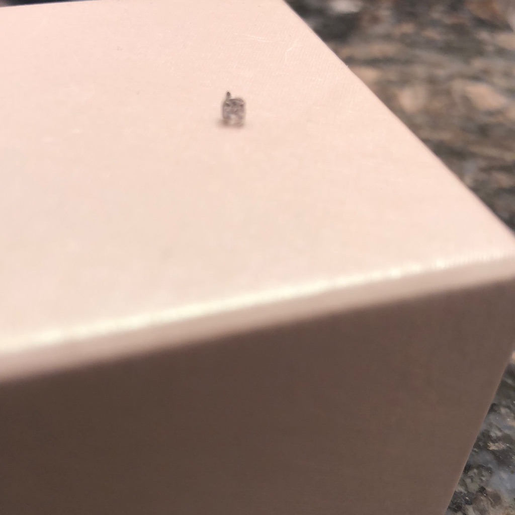 20mm White Gold Nose Stud